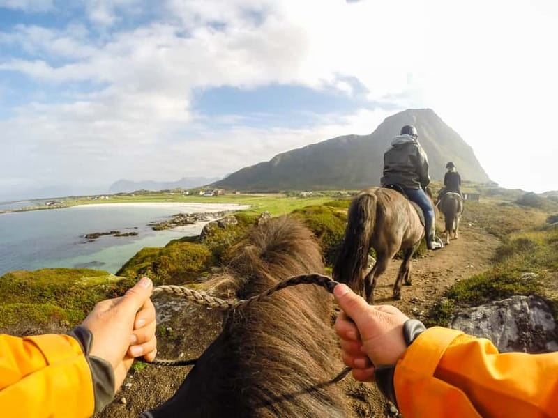 Lofoten: Guided Horse Riding Tour Over Hov and Hovsund - Guided Horseback Riding Over Arctic Coastline at Hov Gård