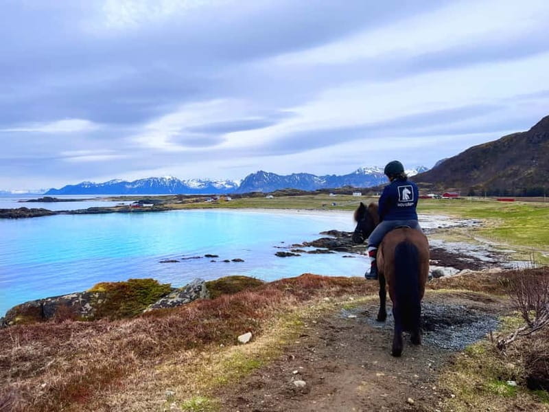 Lofoten: Guided Horse Riding Tour Over Hov and Hovsund - What Makes the Icelandic Horses Special on This Tour