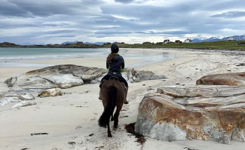 Lofoten: Guided Horse Riding Tour Over Hov and Hovsund - Logistics and Booking Flexibility