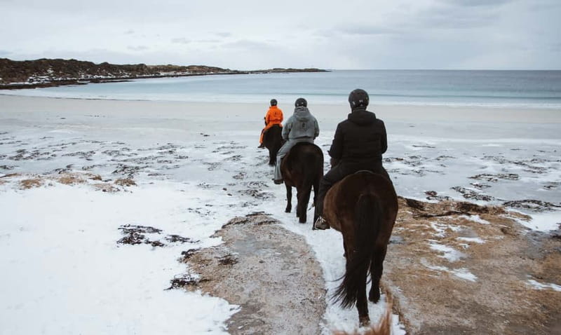 Lofoten: Guided Horse Riding Tour Over Hov and Hovsund - The Experience of Riding Along Ancient Viking Sites