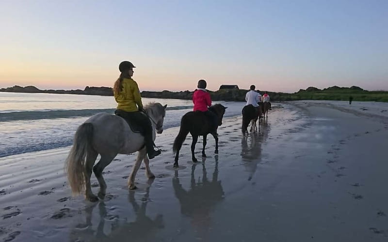 Lofoten: Guided Horse Riding Tour Over Hov and Hovsund - The Sum Up: A Scenic Ride with a Cultural Touch in Lofoten