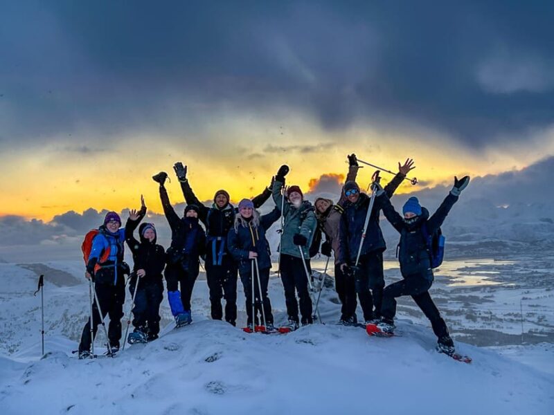 Lofoten: Half Day Snowshoe Tour - Key Points