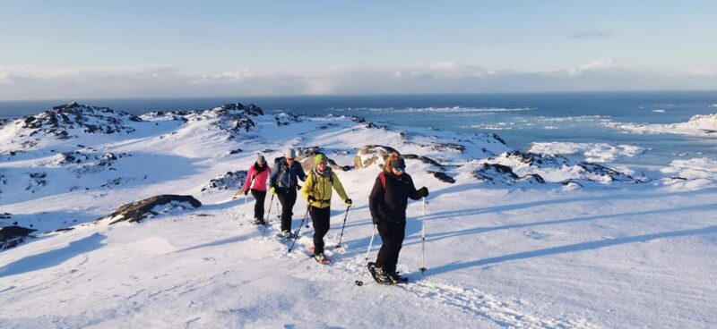 Lofoten: Half Day Snowshoe Tour - Who Will Enjoy This Snowshoe Tour?
