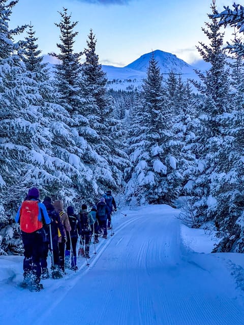 Lofoten: Half Day Snowshoe Tour - Frequently Asked Questions