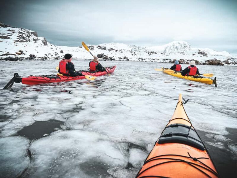 Lofoten: Half-Day Winter Kayak Adventure - Discover the Magic of Lofoten’s Frozen Seas on a Half-Day Kayak Tour