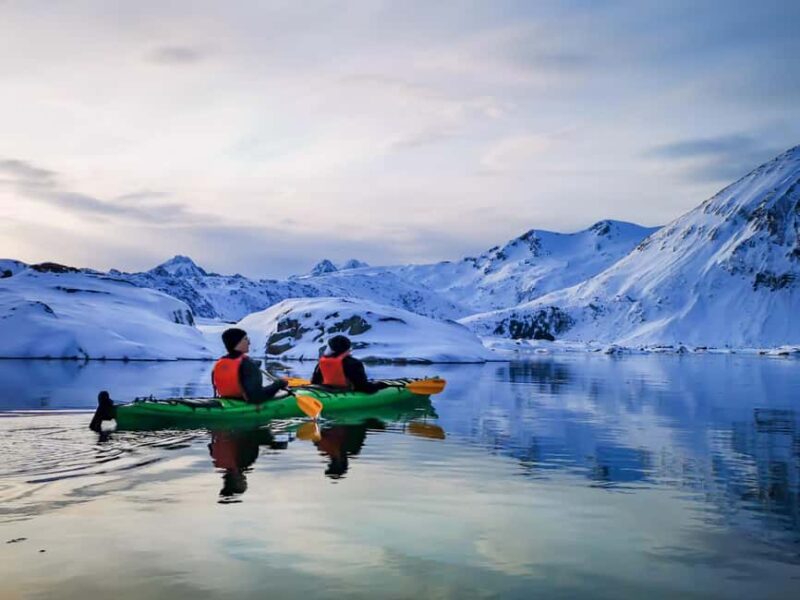 Lofoten: Half-Day Winter Kayak Adventure - Learning from Expert Guides in Multiple Languages