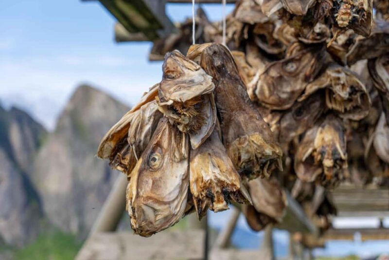 Lofoten: Hamnøy & Reine Private Photo Tour - Exploring Hamnøy’s Famous Fishing Village
