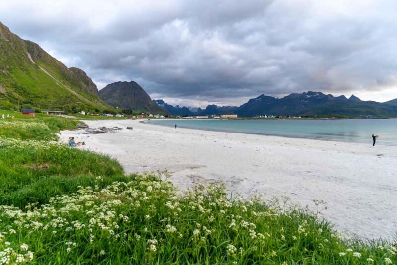Lofoten: Hamnøy & Reine Private Photo Tour - The Experience of Arctic Light and Winter Scenery