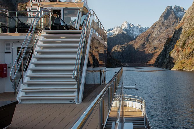 Lofoten Island: Silent Trollfjord Cruise from Svolvær - Encountering Trollfjord’s Natural Beauty and Marine Life