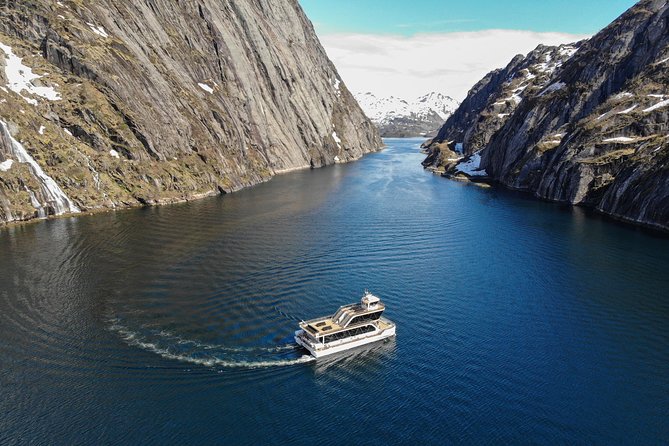 Lofoten Island: Silent Trollfjord Cruise from Svolvær - Wildlife Sightings and Marine Encounters