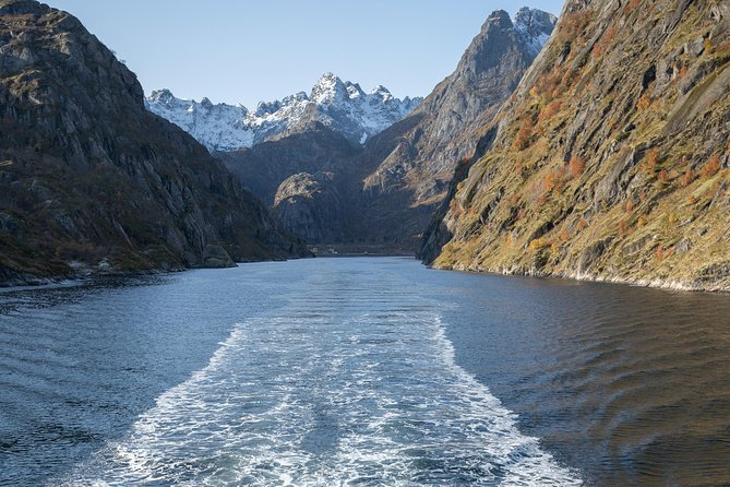 Lofoten Island: Silent Trollfjord Cruise from Svolvær - Pacing, Group Size, and Flexibility