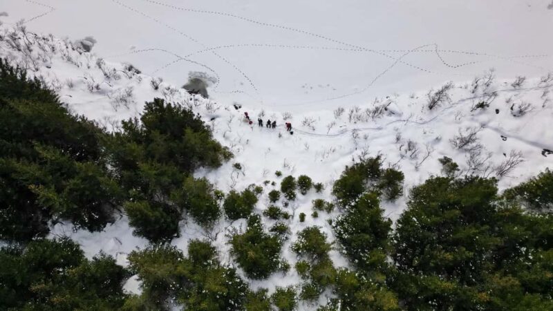 Lofoten Islands: Guided Snowshoeing Tour - Easy version - Exciting Snowshoeing Adventure on the Lofoten Islands for All Skill Levels
