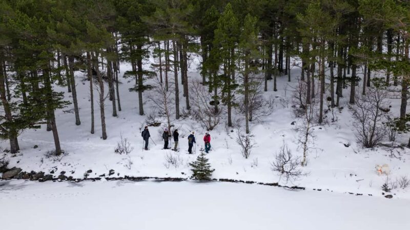 Lofoten Islands: Guided Snowshoeing Tour - Easy version - Key Points