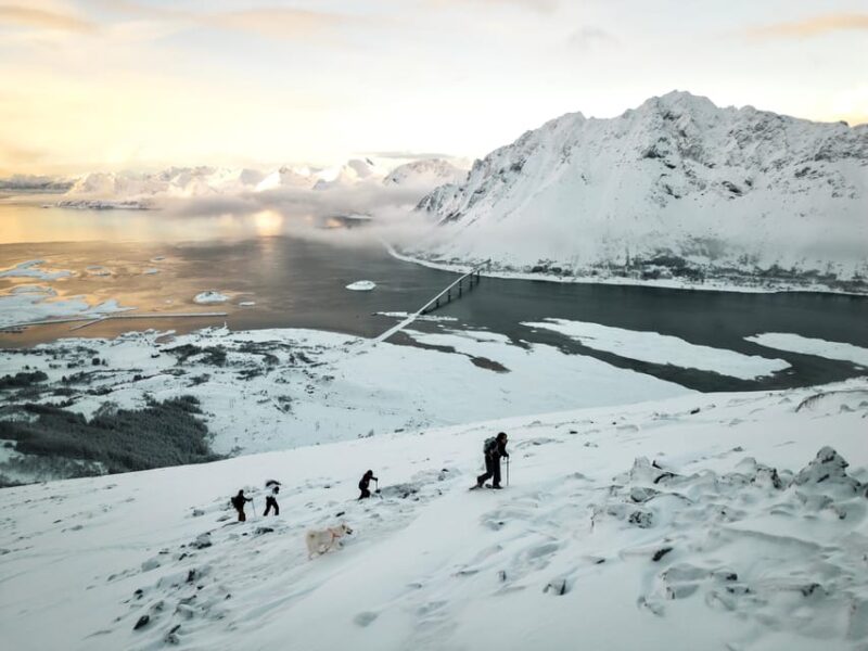 Lofoten Islands: Guided Snowshoeing Tour - Uphill version - Key Points
