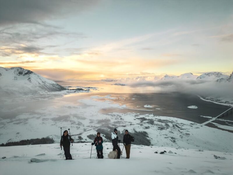 Lofoten Islands: Guided Snowshoeing Tour - Uphill version - The Uphill Snowshoeing Adventure Starts at Gimsøystraumen