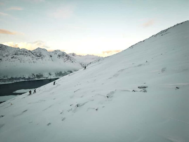 Lofoten Islands: Guided Snowshoeing Tour - Uphill version - Physical Requirements and Fitness Expectations