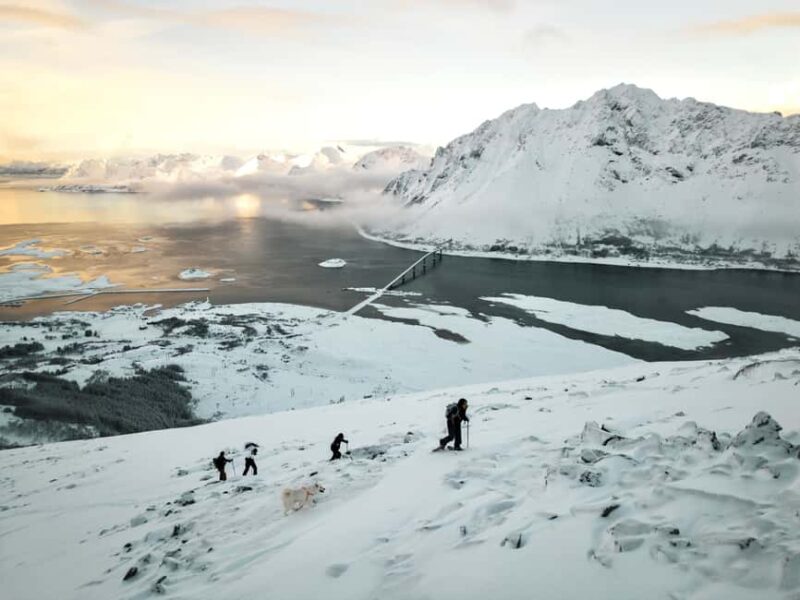 Lofoten Islands: Guided Snowshoeing Tour - Uphill version - Practical Tips for Participants