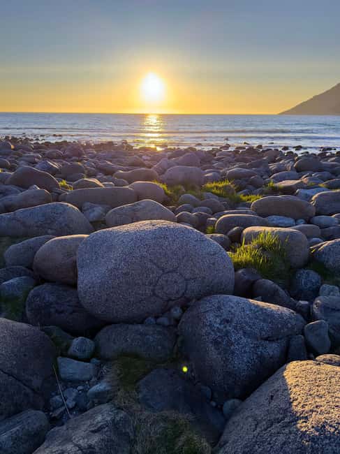 Lofoten: Midnight Magic Tour with Snacks and Drinks - Who Will Enjoy This Tour Most?