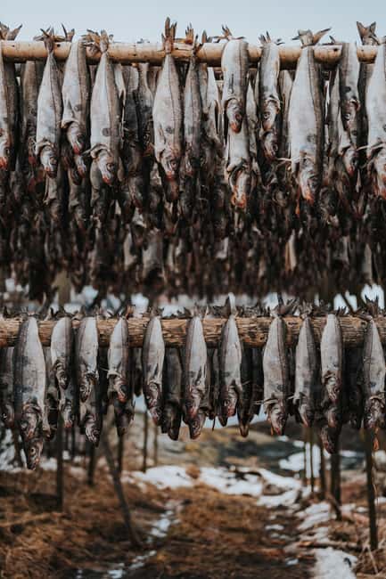 Lofoten Scenic Sightseeing Tour: Half day tour - Exploring Henningsvær, the “Venice of Lofoten”