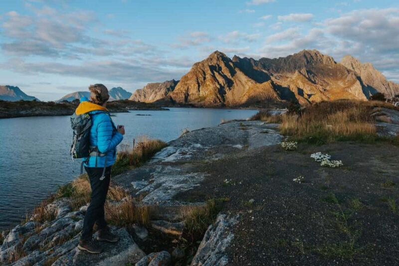 Lofoten Scenic Sightseeing Tour: Half day tour - Convenient Logistics with Central Pickup and Drop-off