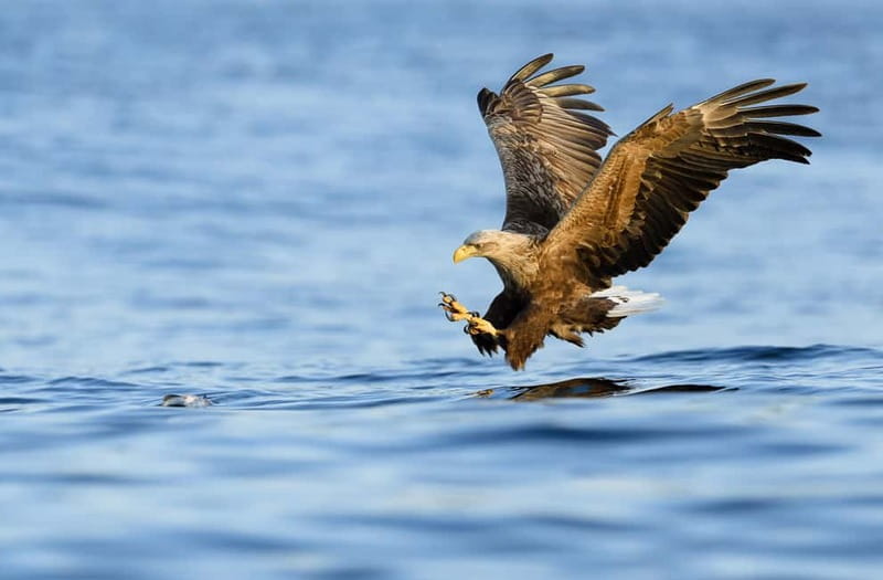 Lofoten Small Group Trollfjord Cruise on 33m Classic Yacht - Practical Details: Meeting Point and Accessibility