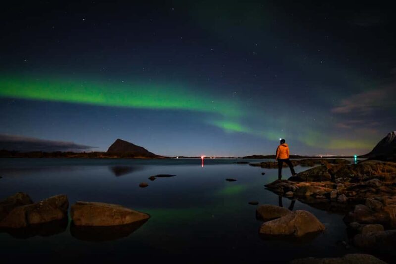 Lofoten: Snowshoeing Northern Lights Tour - Key Points