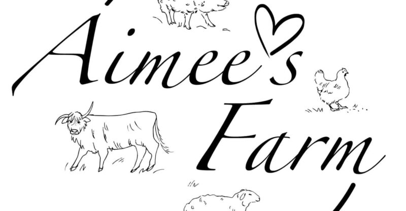 Lofoten (Stamsund and Leknes): Aimees Farm Experience - Key Points