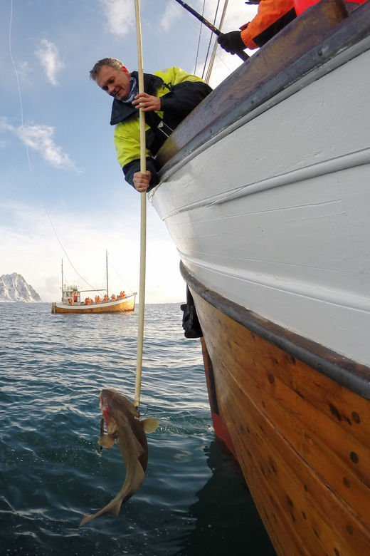 Lofoten: Traditional Fishing Trip - Catch Your Own Fish in the Lofoten Islands for an Authentic Norwegian Experience