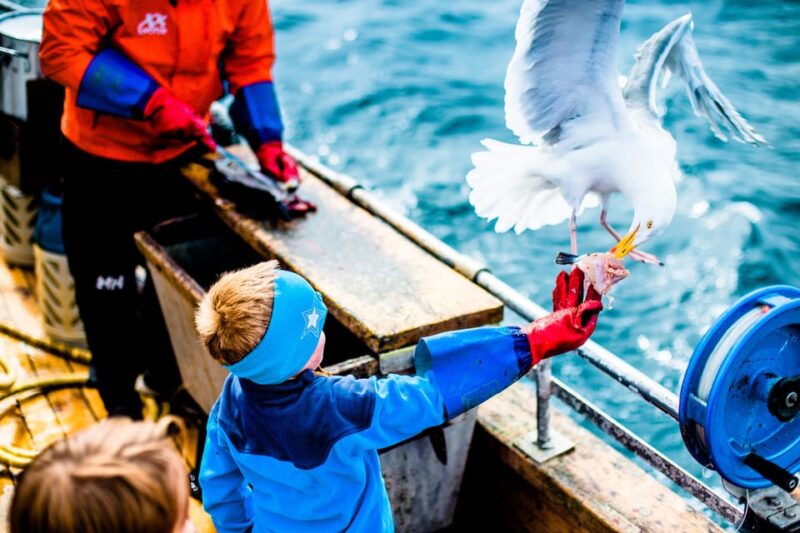 Lofoten: Traditional Fishing Trip - Practical Details: What’s Included and What to Bring