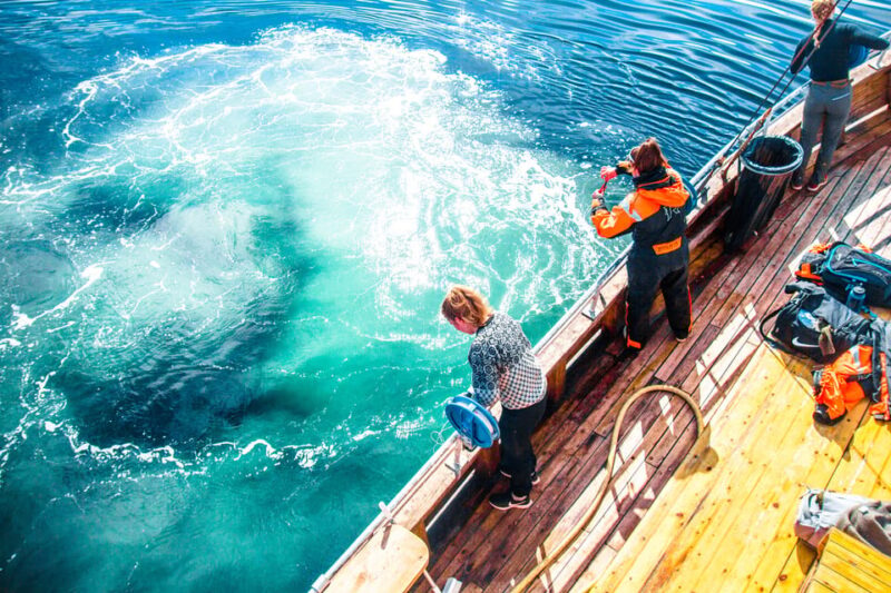 Lofoten: Traditional Fishing Trip - How This Fishing Trip Differentiates from Other Tours