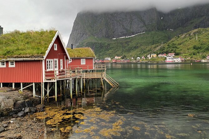 Lofoten VIP PRIVATE Tour from Leknes city / port - Who Should Book the Lofoten VIP Private Tour?