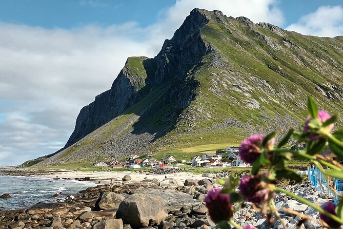 Lofoten VIP PRIVATE Tour from Leknes city / port - Friendly Tips for the Best Experience