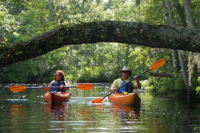 Lofton Creek Kayaking Trip with Professional Guide - Discover Lofton Creek Kayaking with a Professional Guide for Only $51.29