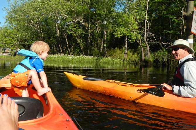 Lofton Creek Kayaking Trip with Professional Guide - What the Guided Lofton Creek Kayaking Tour Offers