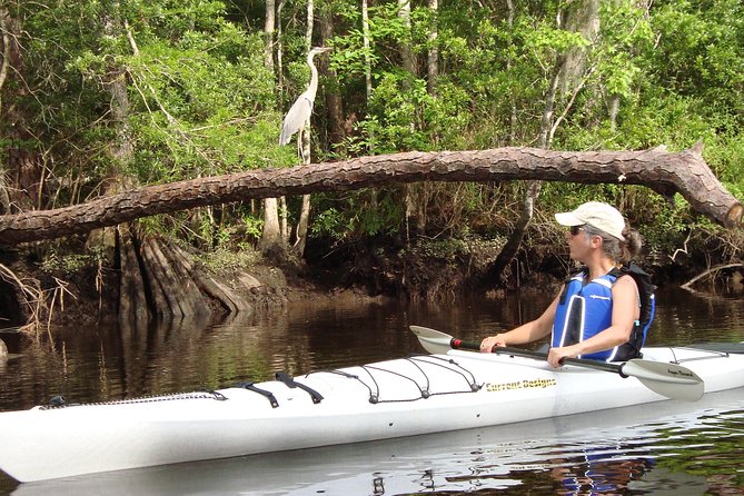 Lofton Creek Kayaking Trip with Professional Guide - Meeting Point and Accessibility