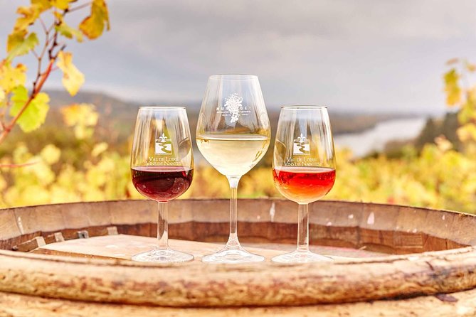 Loire Valley 2 Days private tour all inclusive from Paris with train tickets - Explore the Loire Valley on a Private 2-Day All-Inclusive Tour from Paris