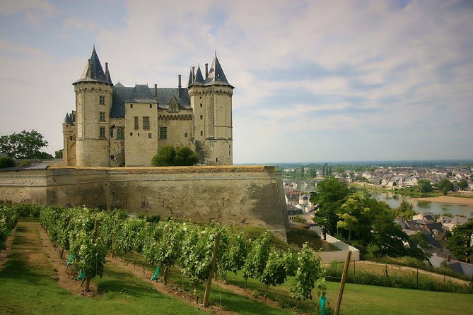 Loire Valley Castles and Wineries Private VIP Day Trip with Lunch - Experience the Elegance of the Loire Valley in a Private VIP Tour