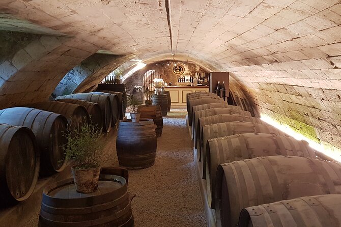 Loire Valley Castles Private Tour From Paris/skip-the-line ticket - Wine Tasting at a Family-Owned Winery Near Chenonceau