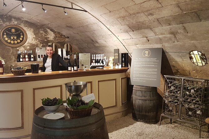 Loire Valley Castles Private Tour From Paris/skip-the-line ticket - What Sets This Tour Apart: Flexibility and Expert Guidance