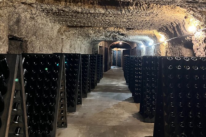 Loire Valley Chambord Castle and Wine Tasting from Paris - Key Points