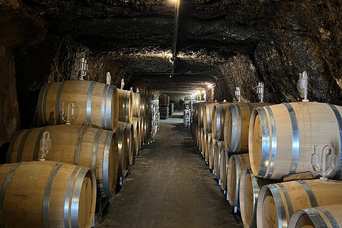 Loire Valley Chambord Castle and Wine Tasting from Paris - Free Time in Amboise for Lunch and Exploration