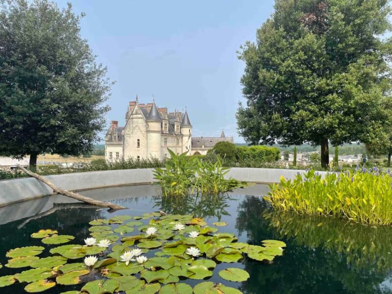 Loire Valley: Château Royal d'Amboise Entrance Ticket - Key Points