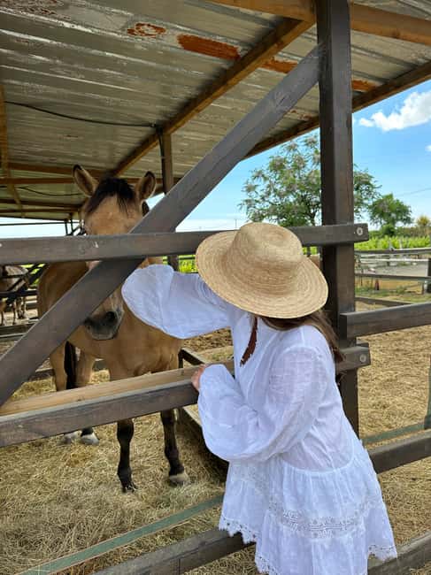 Loire Valley, France Tour: A Royal Gallop Through Time - Visits to Iconic Château Estates