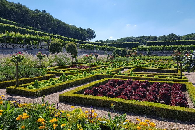 Loire Valley Half Day : Villandry and Azay-le-Rideau from Tours - Villandry Gardens and the Maze