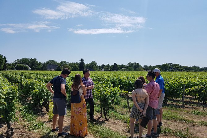 Loire Valley Half Day Wine Tour from Tours : Vouvray Wine Tasting - Key Points