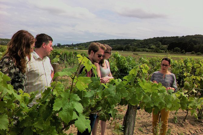 Loire Valley Half Day Wine Tour from Tours : Vouvray Wine Tasting - Start in Tours: Meeting Point and Timing