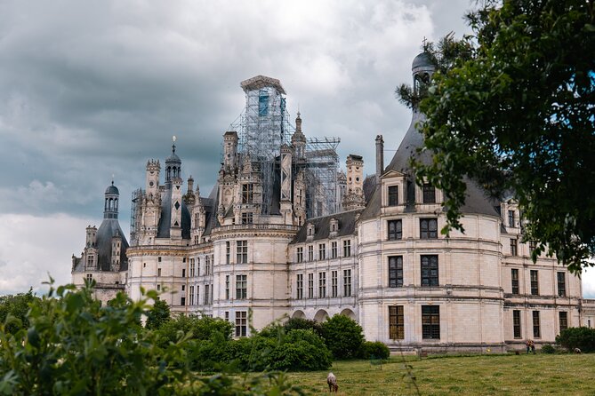 Loire Valley Tour Chambord and Chenonceau from Tours or Amboise - From the Meeting Point to the Loire Countryside