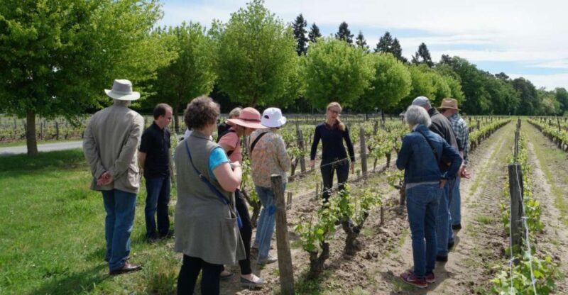 Loire Valley Tour & Wine Tasting Vouvray, Chinon, Bourgueil - Discover the Loire Valley with a Private Day Tour