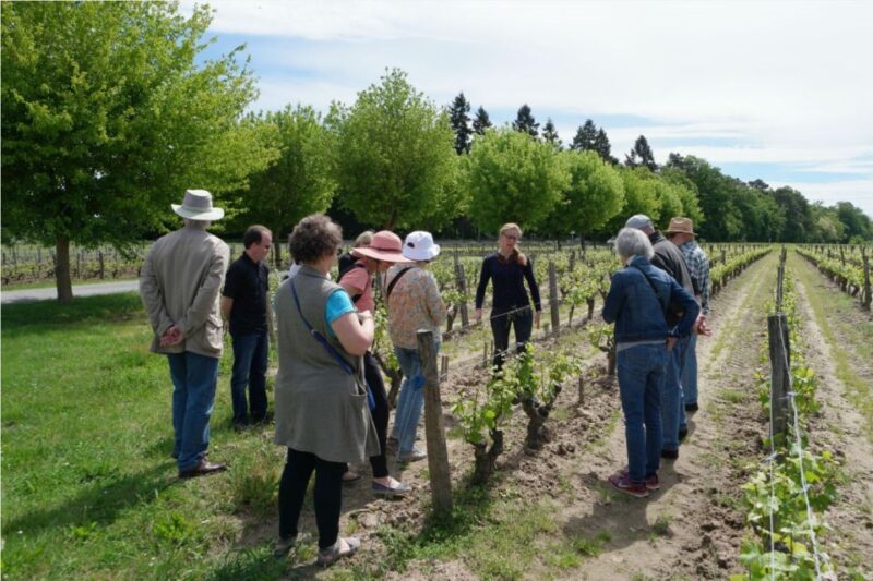 Loire Valley Tour & Wine Tasting Vouvray, Chinon, Bourgueil - Bountiful Bourgueil Wine Tasting