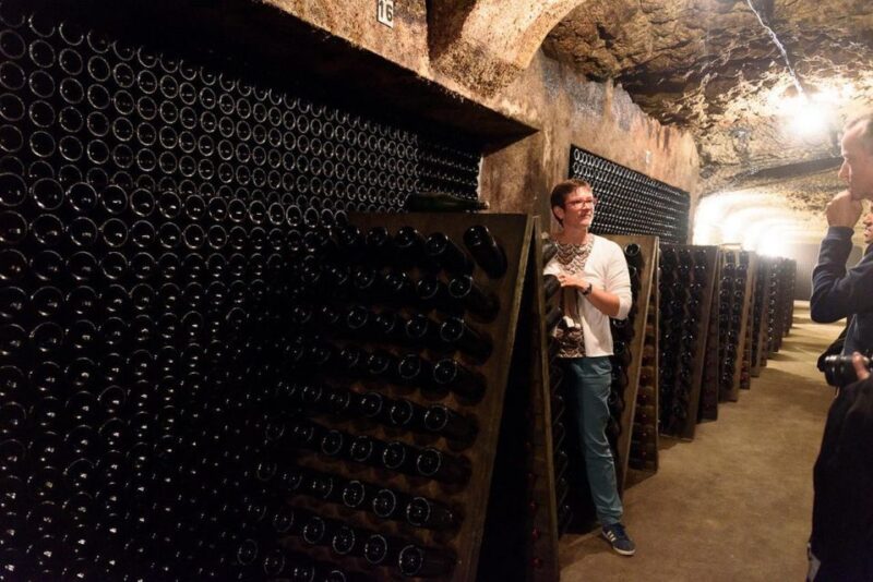 Loire Valley: Vouvray Vineyard Tour and Wine Tasting - Opportunity to Purchase at Cellar-Door Prices